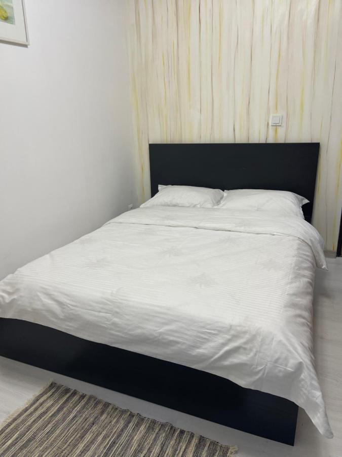 Guest House Târgu Jiu 외부 사진